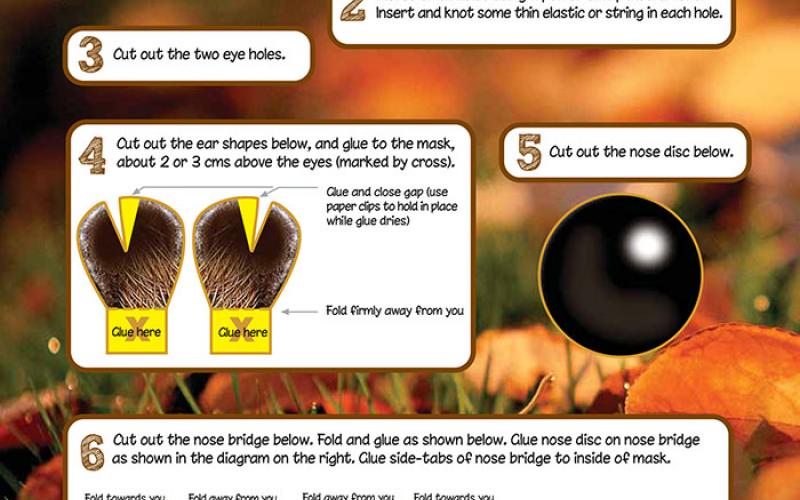 Devon Wildlife Trust, hedgehog mask