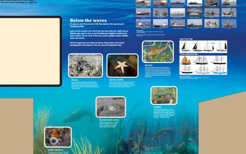 Interpretation panel artwork: Section 2 of wildlife wall panel, showing cut-out areas for touchscreen interactive and counter