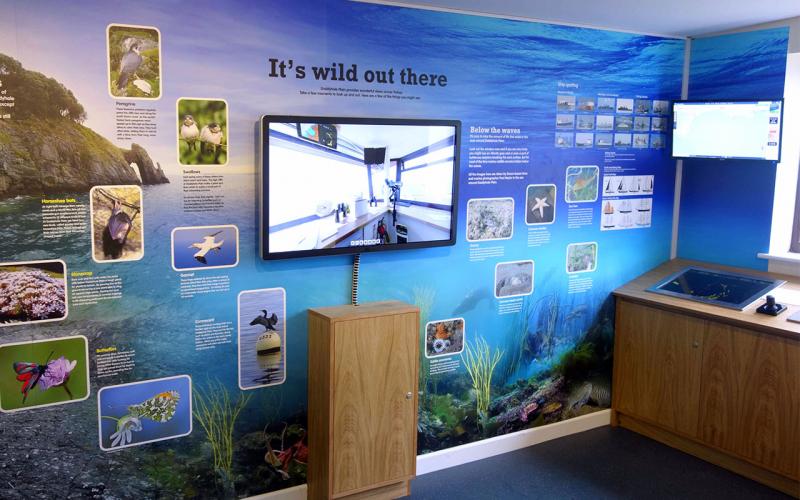 Touchscreen interactive mounted in full-coverage interpretation wall panel